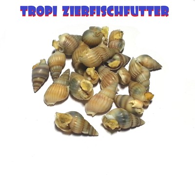 Futterschnecken Sea Snails 250g für Cichliden Kugelfisch Krebse Schmerlen Barben