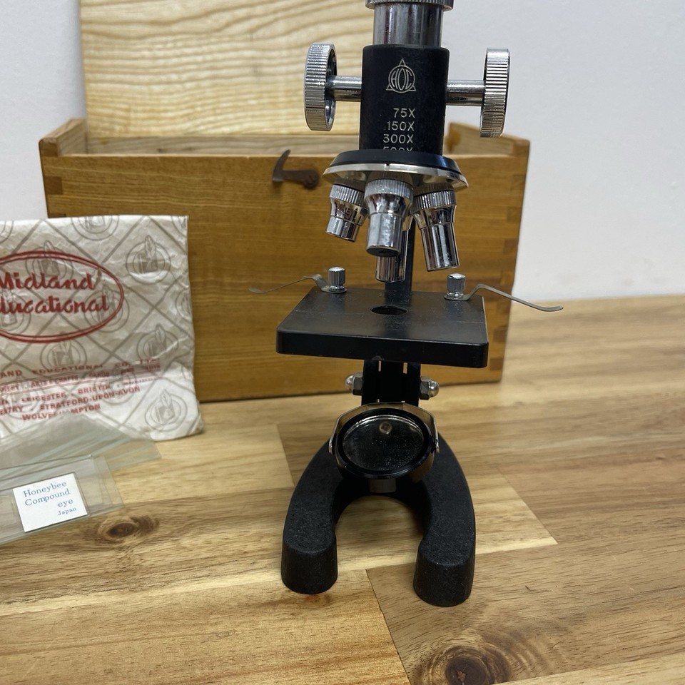 Vintage HOC Japanese Microscope with Wooden Box 500x Magnification With ...
