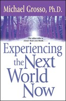 Michael Grosso | Experiencing The Next World Now | Taschenbuch | Englisch (2004)