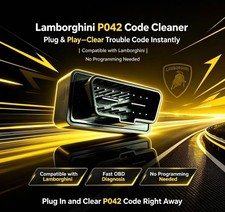 Lamborghihidtc Cleaning Erasing Code Tool Engine Check Light Off P042