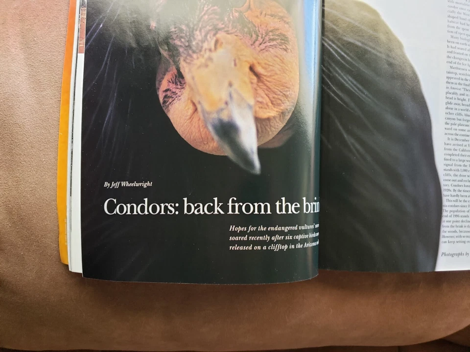 Smithsonian Magazine May 1997 The President FDR Memorial Issue.Preowned. - Image 3 of 4