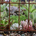 2Pcs Dollhouse Miniatures 1/12 Scale Little Metal Fence Farm Garden Greenhouse