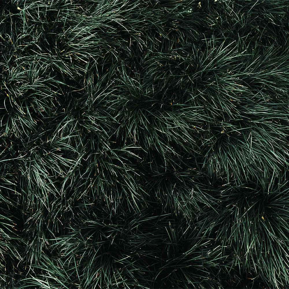Picture 23 of 81