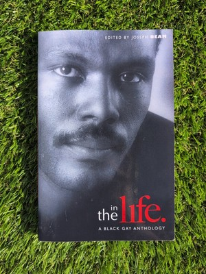 #ad #ad In the Life : A Black Gay Anthology by James Earl Hardy 2007 Perfect $225.95