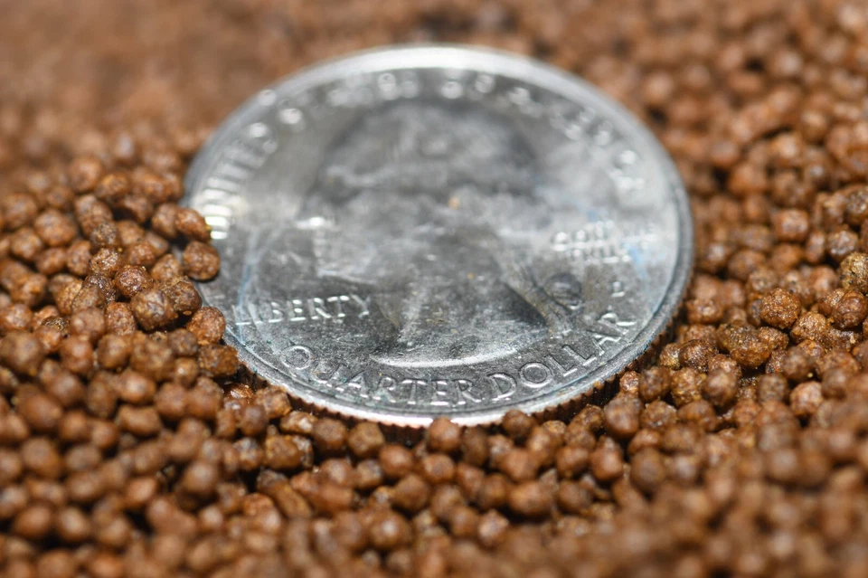 8 oz. Alimento para peces tropicales con gránulos de 1,5 mm de mejora de color de alta calidad Foto 3 de 3