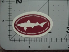 DOGFISH HEAD Brown Shark STICKER decal craft beer dog fish 60 90 minute IPA Z