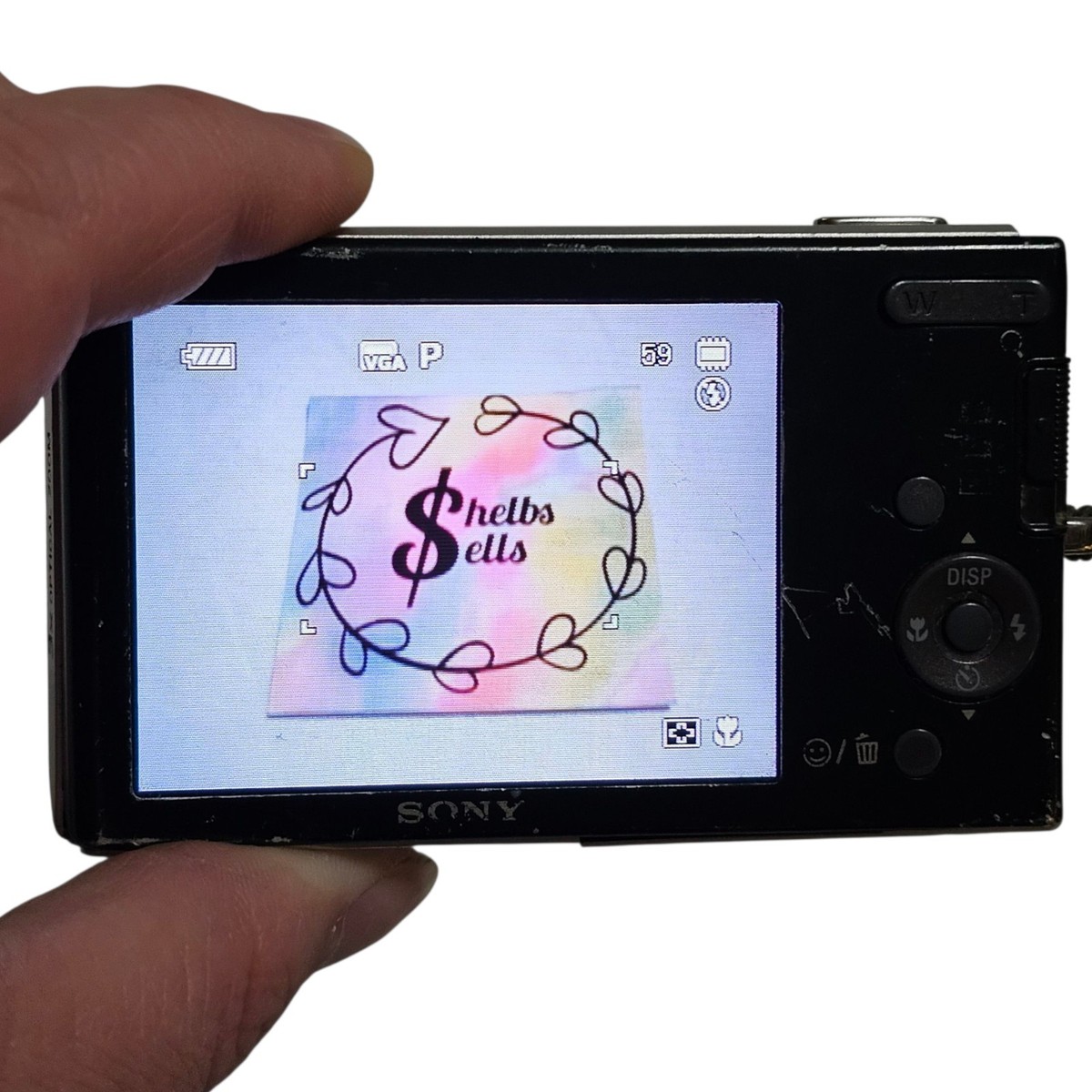 Sony Cyber-shot DSC-W180 10.1MP Digital Camera - Silver for