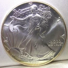 1991 American Silver Eagle