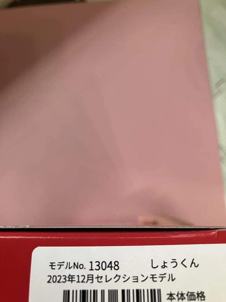 Castillo Licca-chan 2023 - Muñeca BOY FRIEND SHO-kun Nº13048 - Pelo Negro Onda Larga Foto 3 de 3