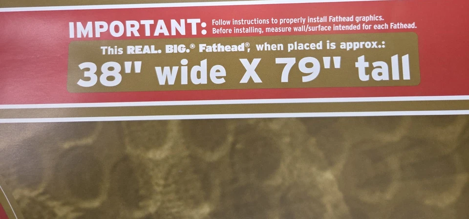 全新 2010 勒布朗·詹姆斯 Real Big Fathead 克利夫兰骑士队 真人尺寸 墙壁固定 — 第 4/4 张图片