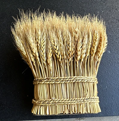 Pequeño paquete de trigo beige ramo artificial seco decoración floral MPN 34182164 - Imagen 1 de 2