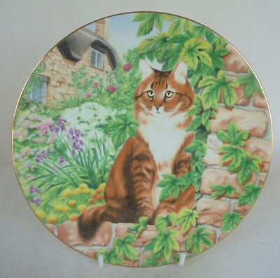 SILENT WATCHERS - LANGHAARIGE TABBY KATZE - COALPORT FINE BONE CHINA TELLER - GUT