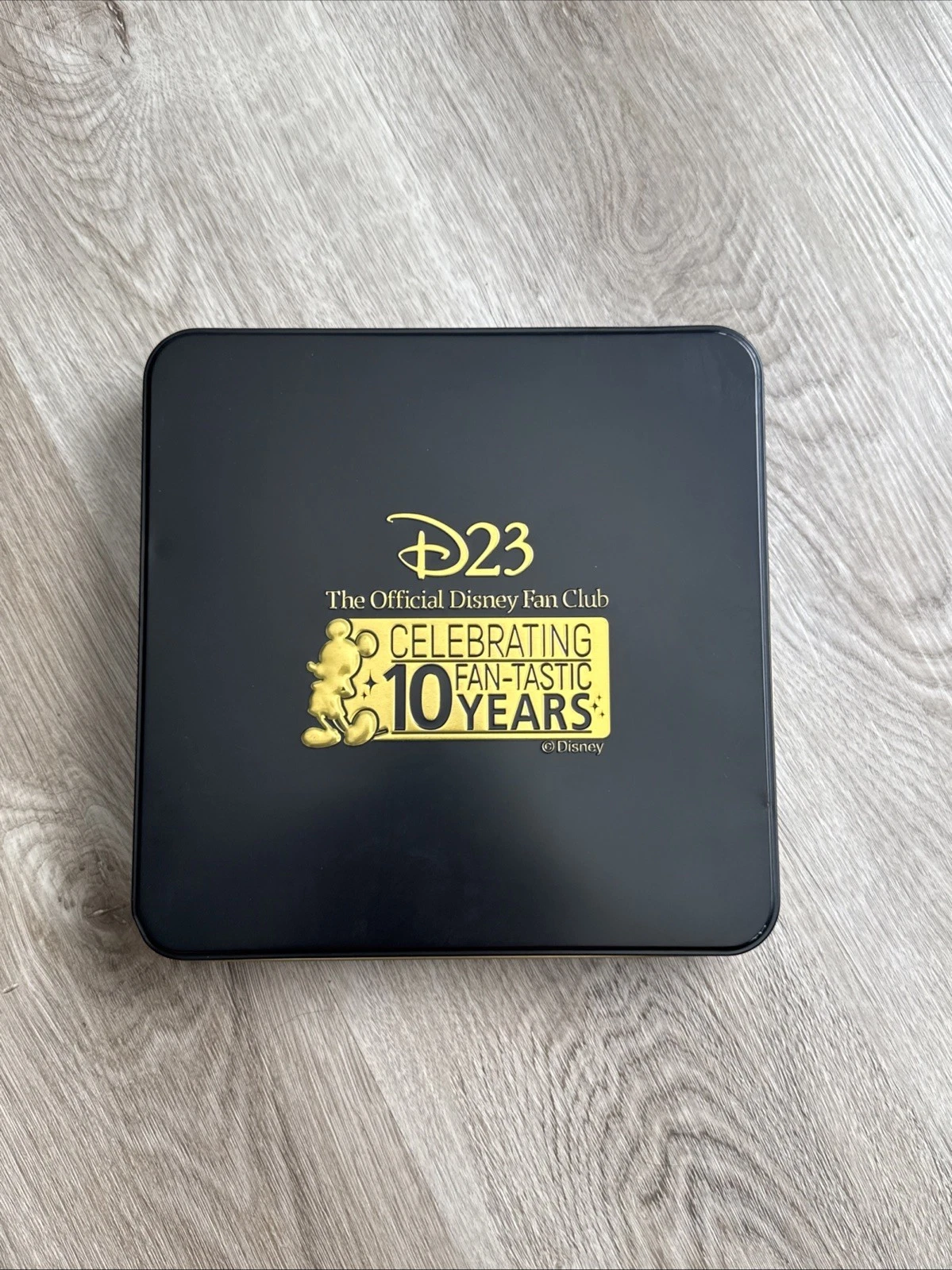 D23 Celebrating 10 FanTastic Years Pin Set