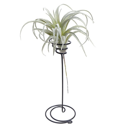 1pc Artificial Pineapple Grass Air Plants Fake Flowers DIY Home Wall Decorat~P1 - Picture 2 of 12