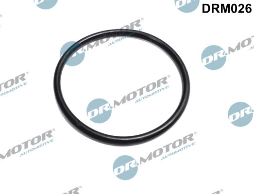 Dr.Motor Automotive DRM026 Seal, throttle body for DACIA,RENAULT