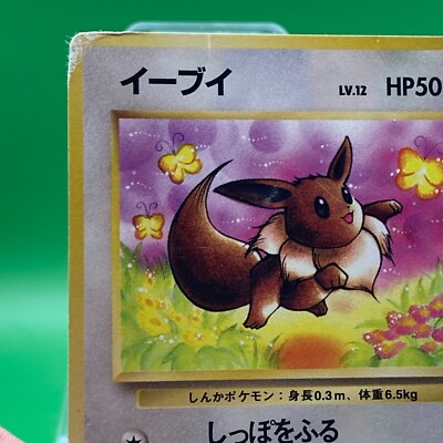 イーブイ LV.12 【おまけカード入】 Eevee lv12 No.133 Pokemon Card Nintendo Japanese Old Back TCG