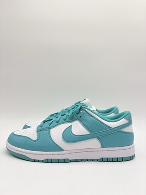 Nike Women s Dunk Next Nature Low Size 11.5 Dusty Cactus |DD1873-105|