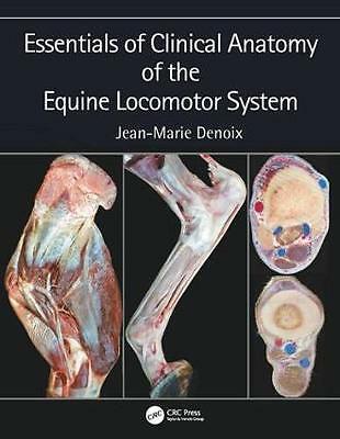 Essentials of Clinical Anatomy of the Equine Locomotor System by Jean-Marie... - Image 5