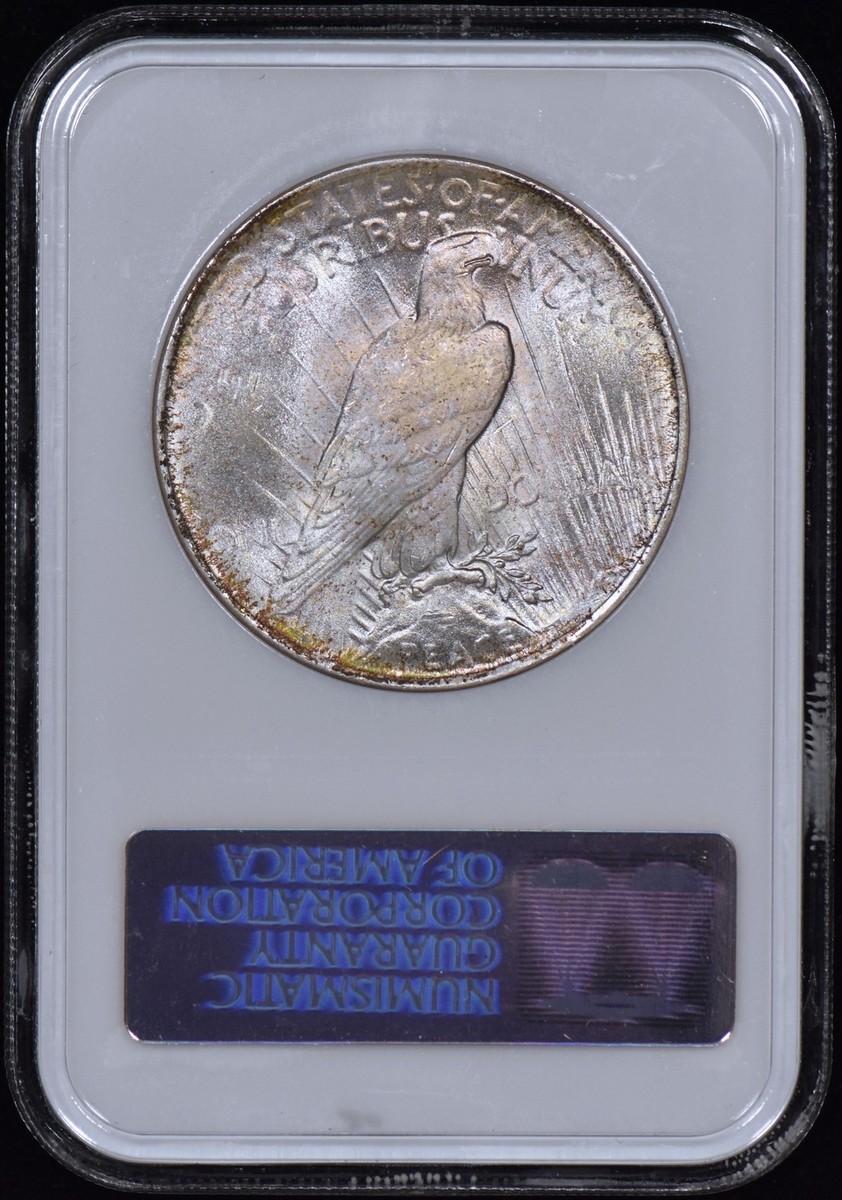 1924 Peace Silver Dollar $1 NGC MS64 CAC - Beautifully Toned GEM