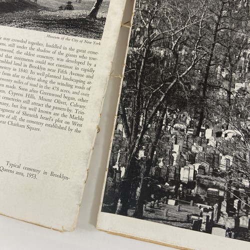 The Face Of New York The City As It Was And As It Is Photos Feininger Text Lyman - Imagen 7 de 12