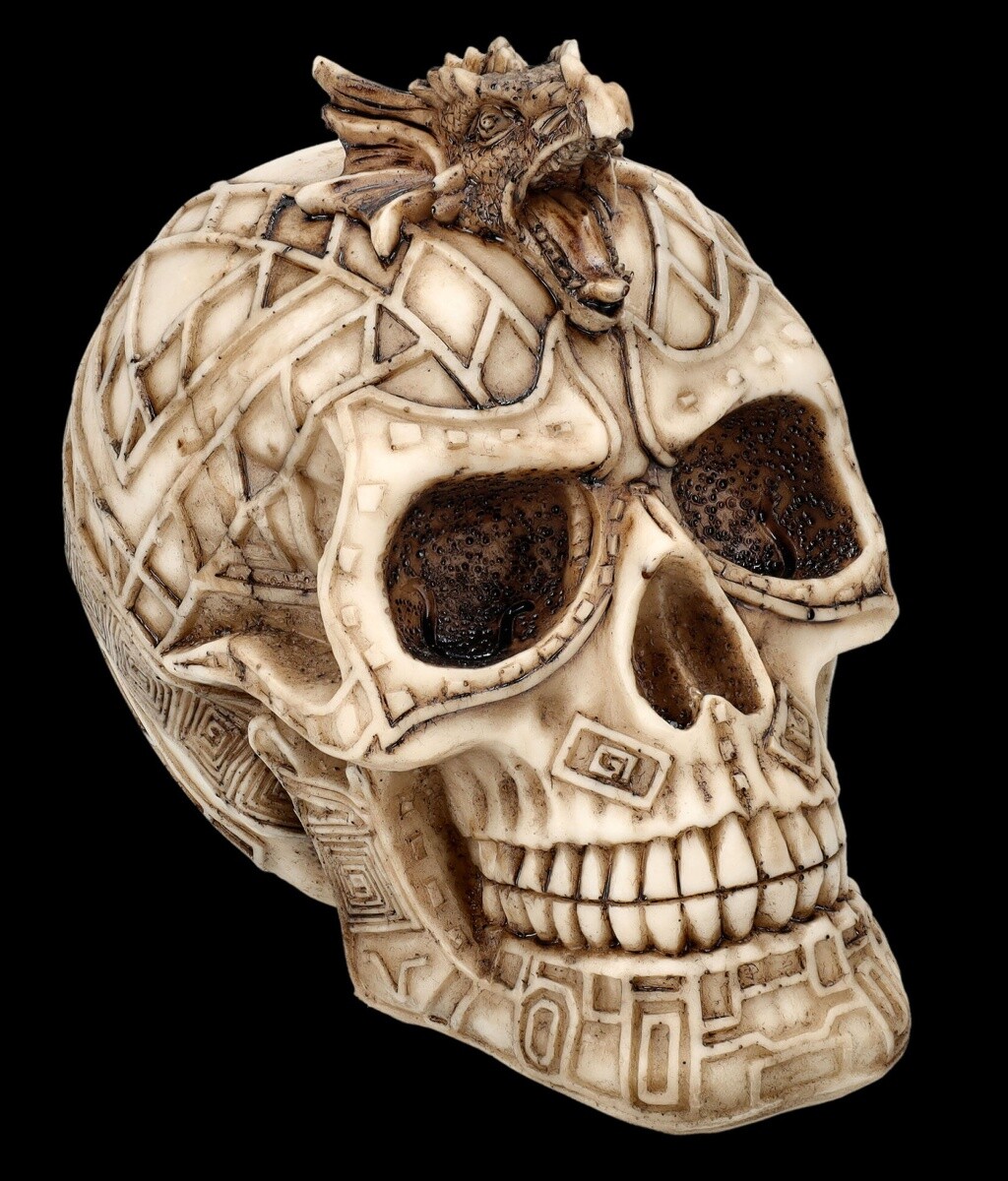 Skull Figure - Celtic Dragon Skull Decoration Gothic 14cm