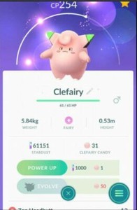 Pokemon Go Shiny Clefairy Ebay