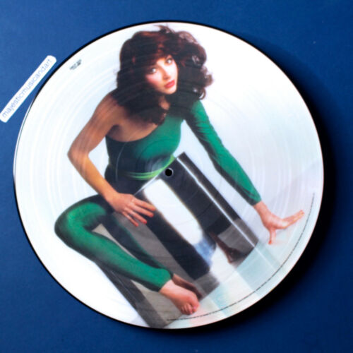 ORIGINAL 1978 PICTURE DISC VINYL KATE BUSH THE KICK INSIDE LP EX+ VERY RARE - Picture 2 of 11