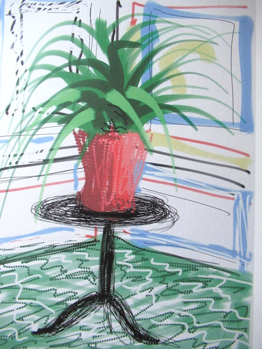 DAVID HOCKNEY: Schöne Lithographie "BLUME AUF TISCH" 50x35cm Limitiert xx/200 - Bild 3 von 5