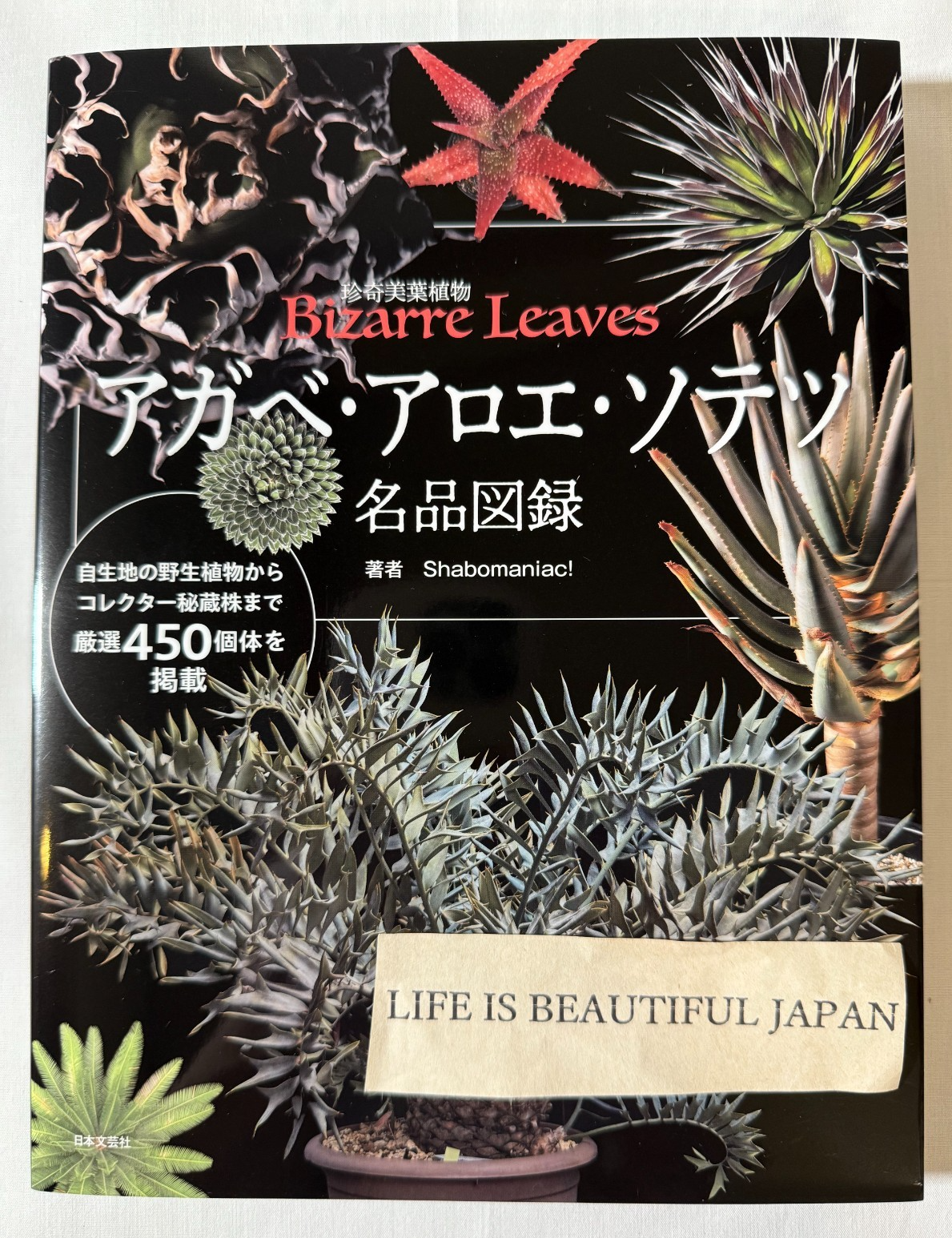 Bizarre Leaves Agave Aloe Cycas Revoluta Illustrated Catalog Japan Succulent
