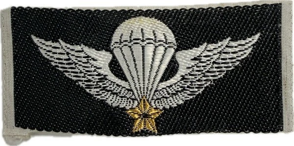 ★アメリカ軍＊ＡＲＶＮレンジャー＊空挺＊スペシャルフォースバッジ ☆アメリカ軍＊ARVNレンジャー＊空挺＊スペシャルフォースバッジ
