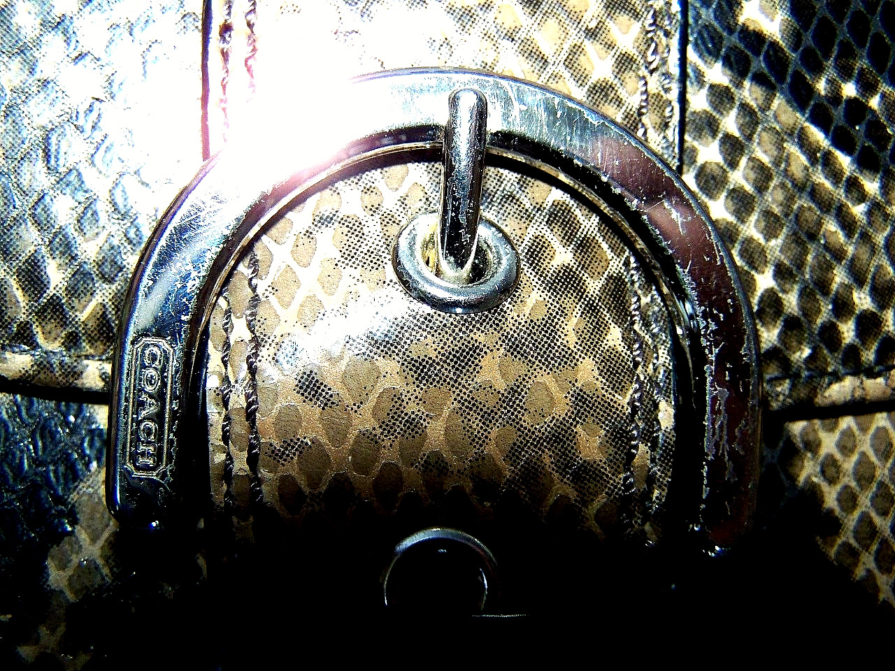 Coach Snake Python Embossed Wallet Brown Black Ta… - image 1