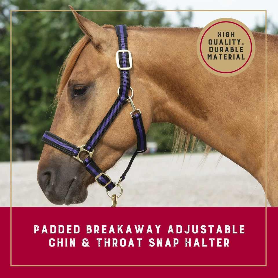Halter Weaver Equine Breakaway para caballos cómodo elegante colores duraderos Foto 2 de 4