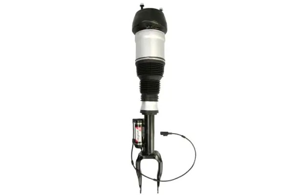 Ammortizzatore APM019MT Magnum Technology per MERCEDES-BENZ CLASSE GL GLE GLS - Immagine 2