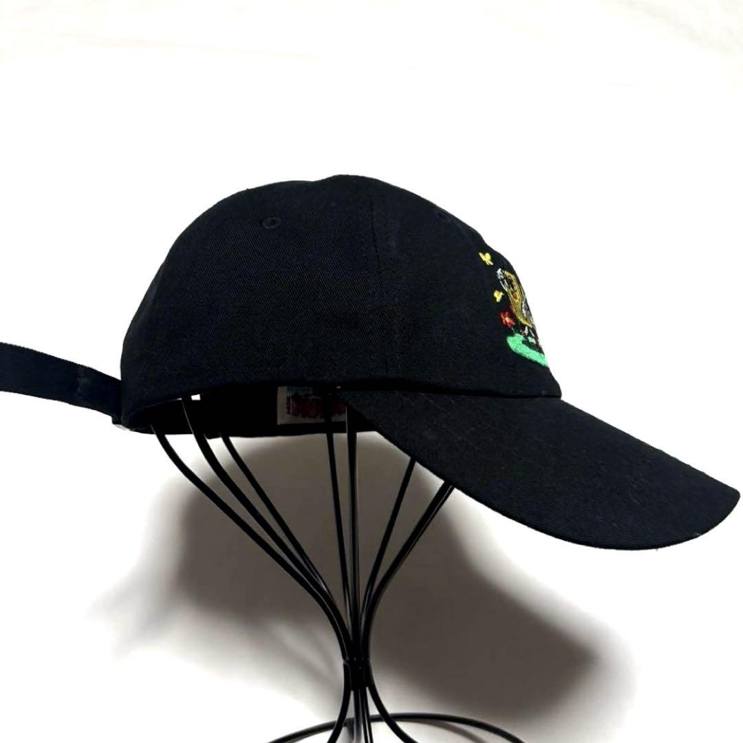 SEVENTEEN Nanatour セブチ ナナツアー キャップ Seventeen Nanatour Cebuchi Nana Tour Cap | eBay
