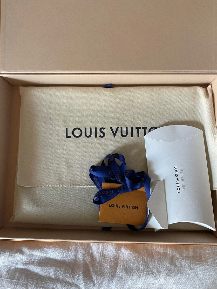 Louis Vuitton Laptop Case