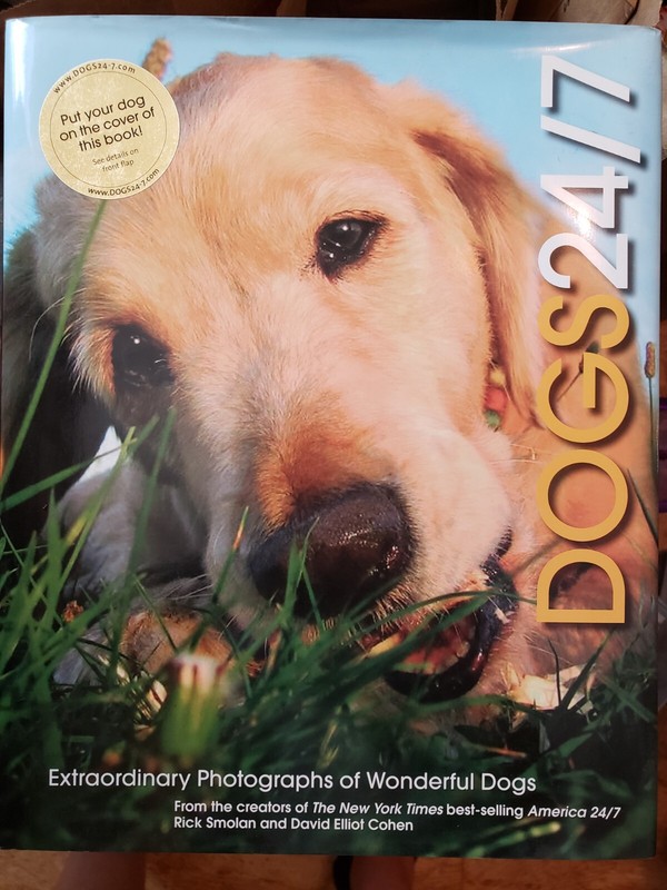 Dogs 24/7 : Extraordinary Photographs of Wonderful Dogs by David Elliot Cohen...