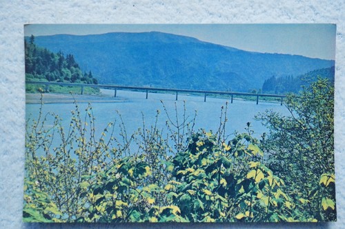 Highway 101 Bridge Over The Klamath River - California - 第 1/2 張圖片