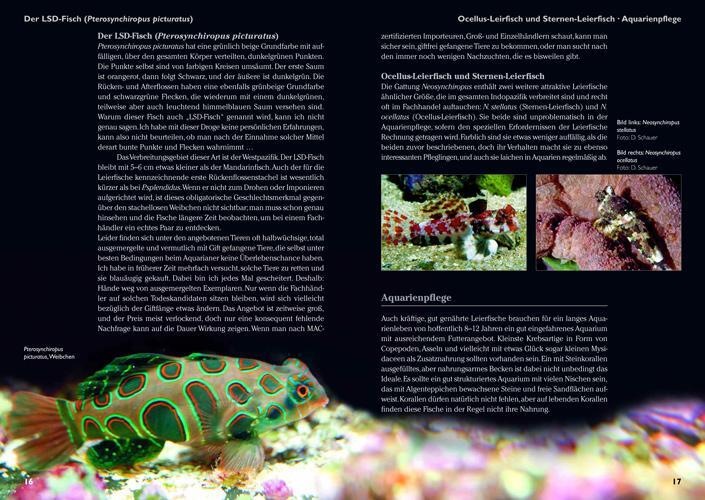 Thumbnail - Art Für Art: Leierfische Wolfgang Mai