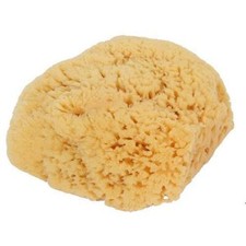 Natural Sea Sponge Bath-Shower Large 1 Count By Bass Brushes