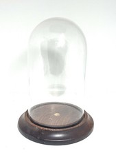 Clear Glass DISPLAY DOME  Wood Base