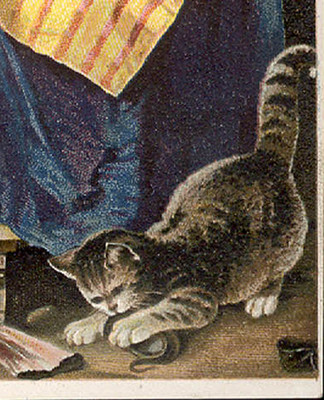 VERONA, ONEIDA CO. N Y ~ DR. JANE'S TONIC TRADE CARD, GIRLS, CAT, LADY  TC158