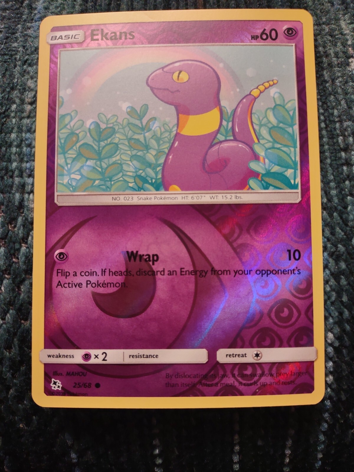 Ekans 25/68 Hidden Fates 2019 Reverse Holo Foil Rare Pokemon TCG Card NM