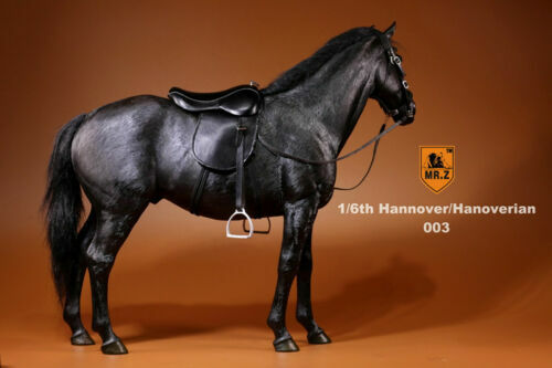 Figura MrZ 1/6 Alemania Hannover Caballo Hannover Animal Modelo Escala 12" EN STOCK - Imagen 27 de 46