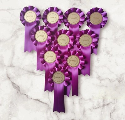 Gewinner Rosetten x10 Hund Show Pferd Haustier Kind Pflaume