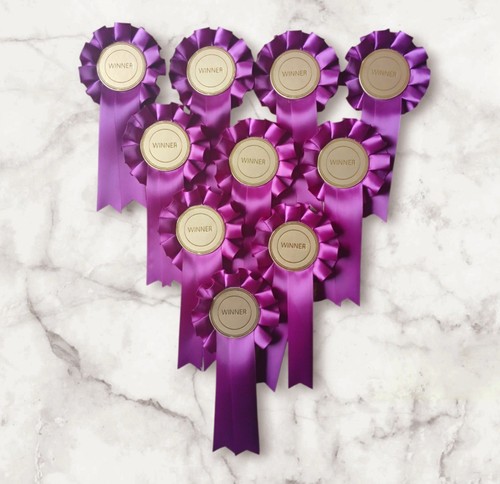 Gewinner Rosetten x10 Hund Show Pferd Haustier Kind Pflaume - Bild 1 von 2