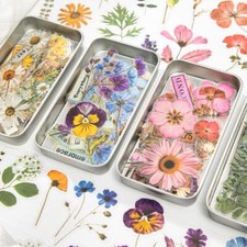 50Pcs Dried Flowers Scrapbooking Stickers Journal Planner Seal Decorative Crafts