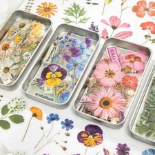 50Pcs Dried Flowers Scrapbooking Stickers Journal Planner Seal Decorative Crafts