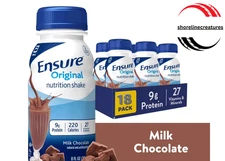 Ensure Original Nutrition Shake, 9g Protein, Milk Chocolate, 8 fl oz - 18 Pack
