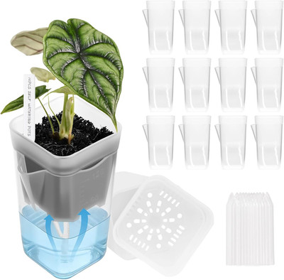 12 Pack 2'' Self-Watering Mini Planter Pots with Labels for Succulents & Herbs