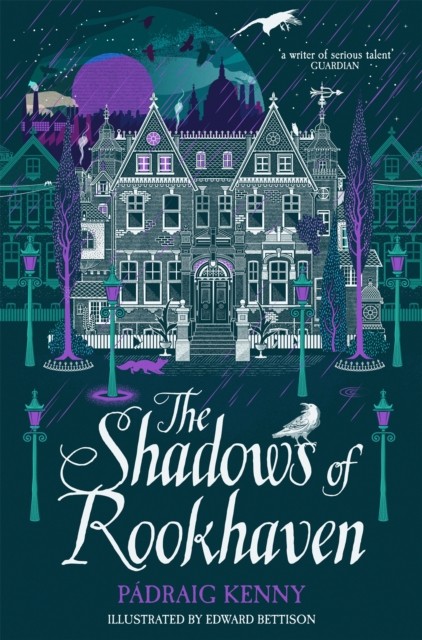 The Shadows of Rookhaven by Padraig Kenny (Paperback Book)